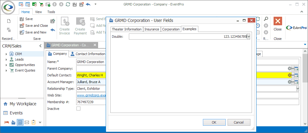 Screenshot of Company User Fields window with field focused while value is being entered. 