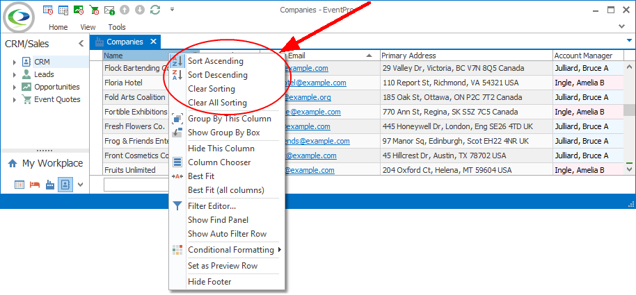 Screenshot of Companies selection grid with Sort options in speed menu. 